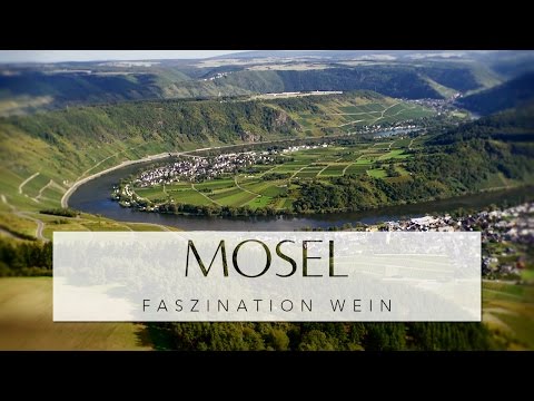 MOSEL - Faszination Wein