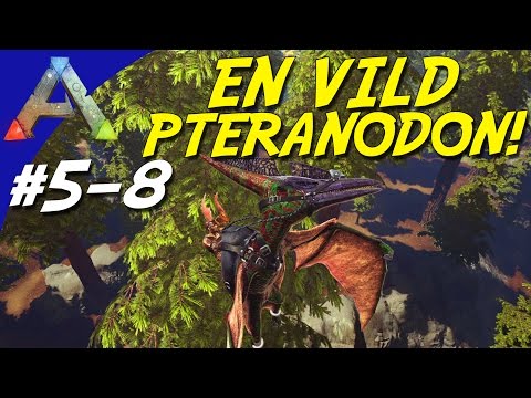 EN VILD PTERANODON! - ARK Survival Evolved Dansk Sæson 5 - Ep 8