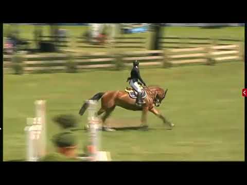 Julien GONIN & Quapitale du Lavoir (sired by Heartbreaker) - International Show Jumping