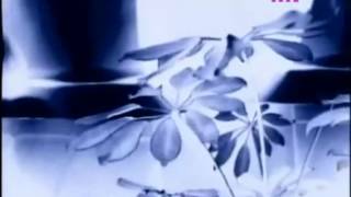 DJ Krush featuring Esthero - Final Home