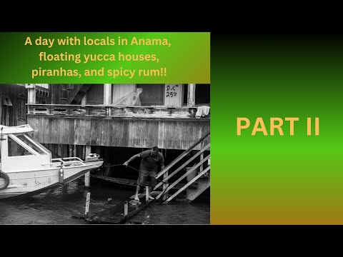 Amazonas dia dos Anama revi