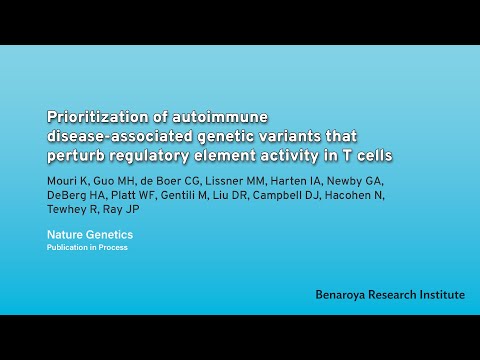 BRI Explains: Identifying Variants that Alter Gene Expression in T Cells