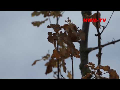 2019 07 27 vertrocknete Landschaft NWM TV