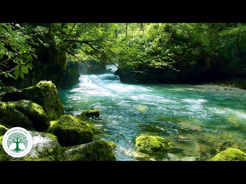 4K HDR babbling brook - Calming forest sounds - Relaxing nature sounds