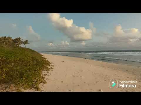 Manea&Te manu ote Reva song