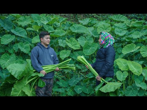 Die alte Frau und John lebten ein friedliches Leben auf dem Bauernhof.