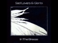 Sad Lovers and Giants - The Change 