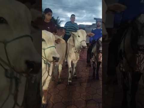 25/02/26, General Carneiro, MT.#turismo #viagem #matogrosso #generalcarneiro