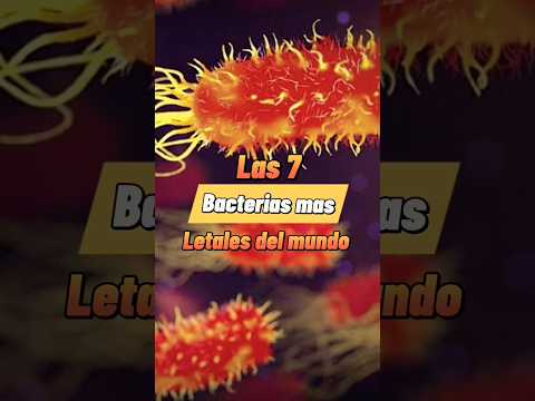 Las 7 bacterias m&aacute;s letales que existen #bacteria #enfermedad