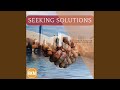 Seeking Solutions