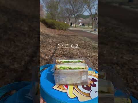 [2026새영천알림이단✨] 내년에는 꼭 해야하는 영천 벚꽃 피크닉 명소 임고강변공원