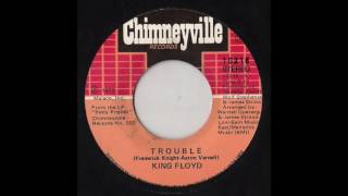 Being educated Is being mentally ill - The Transgender Lites (2016) Guubu Records