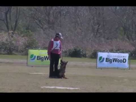 2013WUSV Selection Miran von Kyoto Masuda B89