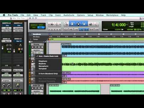 Audio Concepts 201: Advanced Audio Editing - 10. Common Features