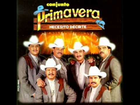Conjunto Primavera - Ladron De Amor
