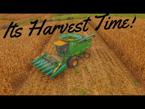 6 Row is the Way to Go! - Harvest 2018!