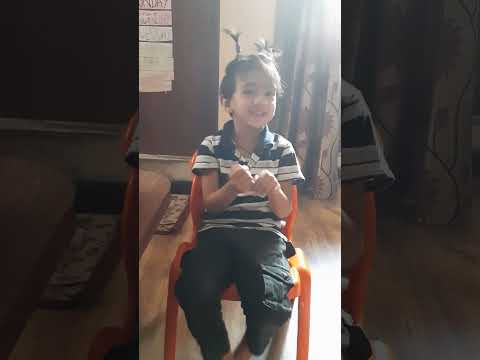 Vansu Kids Zone Day 1