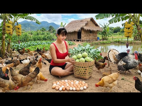 [TIMELAPSE] -- 136 Days Harvesting A Lot Of Chicken, Kohlrabi, Cabbage, Turkey, Cucumber Go To Sell