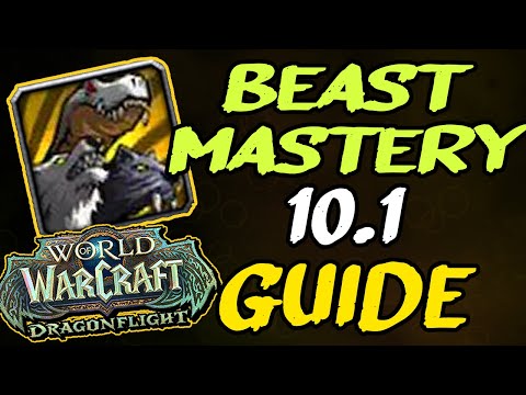 BEAST MASTERY HUNTER PVP GUIDE (Dragonflight 10.1)