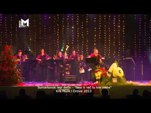 Sumartonski lepi dečki - Nesi ti več tu kraj mene (festival Kre Mure i Drove, Prelog, 2013)