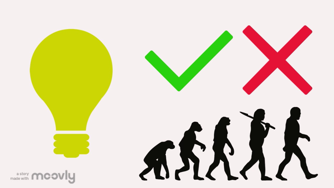 Culture and Consumer Communication