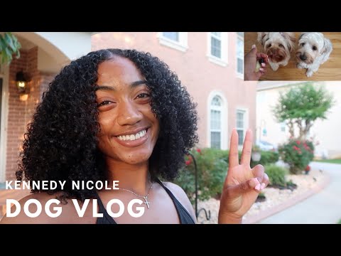 DOGS TRY FRUIT FOR THE FIRST TIME | kennedy nicole