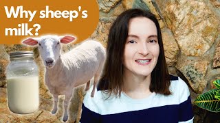 Is Sheep Milk Good for You? 12 Surprising Sheep Milk Benefits