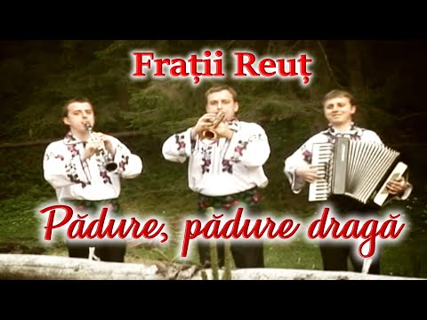 Frații Reuț - Pădure, pădure dragă @FratiiReut 2009