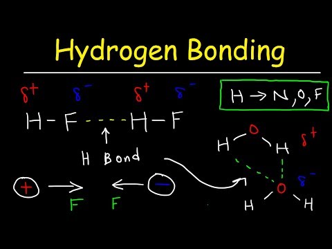 Hydrogen Bonds In Water Explained - Intermolecular Forces Video