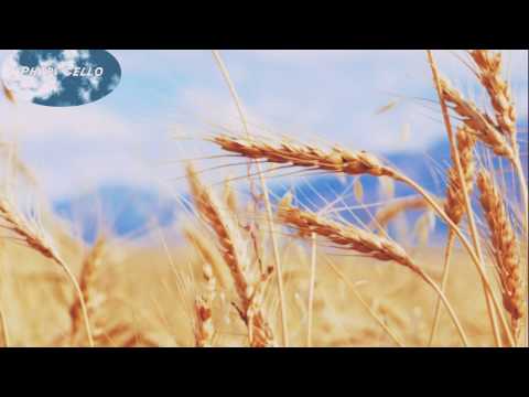 download lagu mp3 mp4 Kunci Gitar Blackout Join Kopi, download mp3 Kunci Gitar Blackout Join Kopi free download, download mp3 Kunci Gitar Blackout Join Kopi