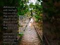 Melliname Melliname Song Lyrics Shajahan