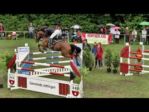 10.06.2019 Jettingen: Springen Kl. S1* - 1. Marc Poppel/Dalton 21