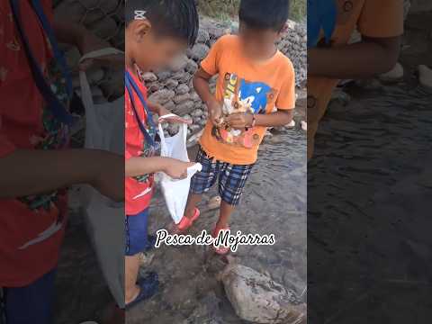 Pesca de Mojarras en el Huallaga