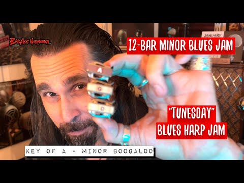 How To Not Suck with a Minor Boogaloo - Blues Harmonica Jam  -  Blues Harp Licks  - Tunesday 80