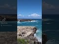 My Beautiful Hawai'i by Ekolu TikTok