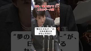 【核融合・フュージョン エネルギー】日本、エネルギー大国へ “海水”で日本が動く時代へ #自民党 #高市早苗 #高市総理