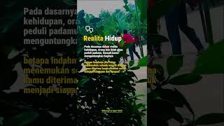 Download lagu #quotes #katakatabijak #katamotivasi # #fypシ゚viral #shortvideo #music #lyrics #shortvideo mp3