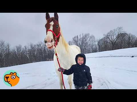 Huge Horse Thinks She’s A Mom To Tiny Boy | Cuddle Buddies