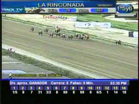 Resumen Domingo, 18 de Septiembre de 2011 - La Rinconada