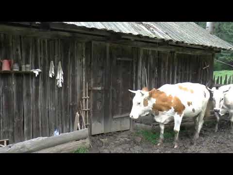 Romania,   Village   Life   in Transylvania