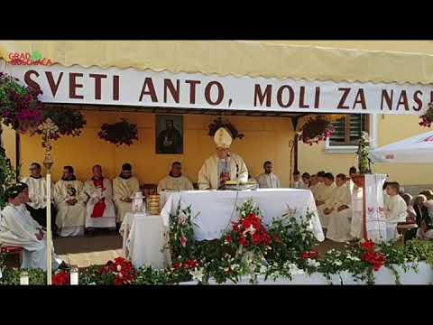 PROPOVIJED KARDINALA PULJIĆA NA UOČNICI SV. ANTE U BUSOVAČI 2020.