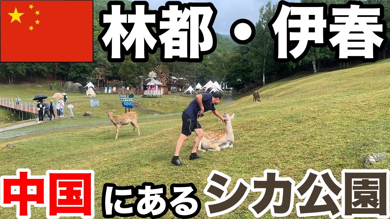 【林都・伊春】中国にも奈良の鹿公園があった　旧満洲国編#7