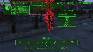 【Fallout4】防具無し（指輪のみ）縛りでやる！