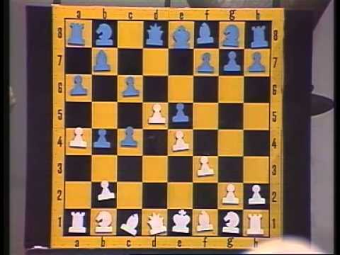 Schach der Großmeister 1984