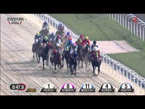 Korean Derby 2014 - Queen's Blade