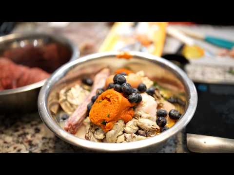 TOP 10 Ingredients to ADD to your Dog's Food! (Full Breakdown & Why)