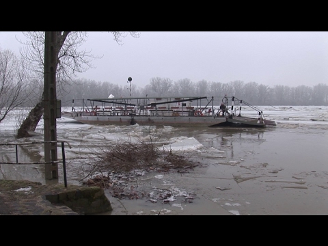 Elszabadult a tiszacsegei komp és magával vitte Janit