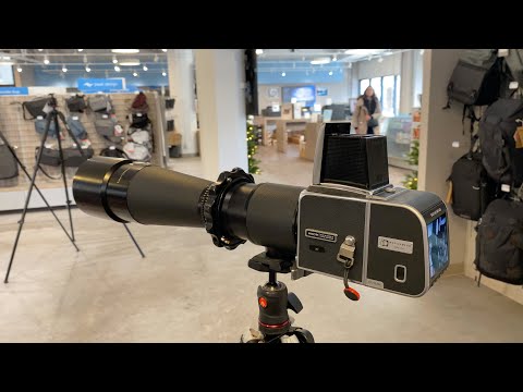 Testing Hasselblad CFV II 50C on a 500 CM body