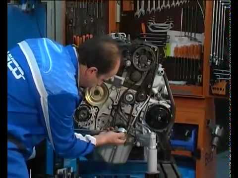 Dayco - Training Course 2 of 3
