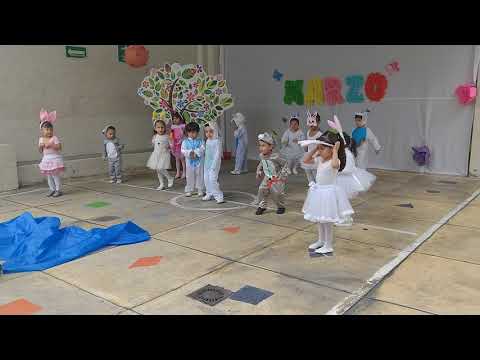 download lagu mp3 mp4 Conejo Saltarin De Goma, download lagu Conejo Saltarin De Goma gratis, unduh video klip Conejo Saltarin De Goma